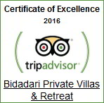 Tripadvisor Certificate of Excellence 2016