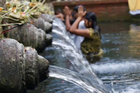 Wellness Rejuvenation